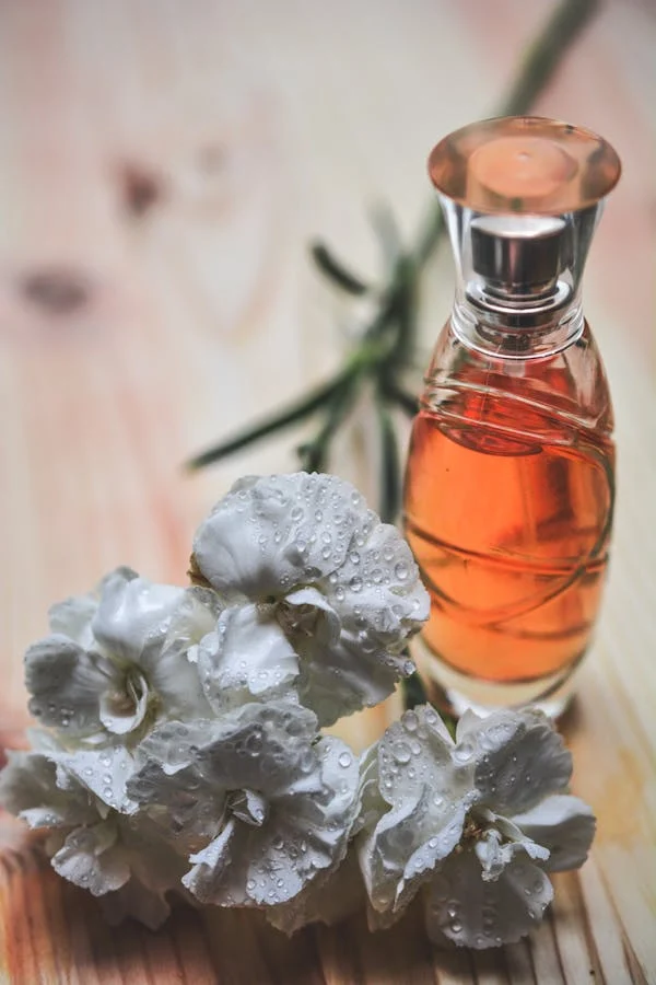 De beste parfums voor dames: een gids voor elke gelegenheid